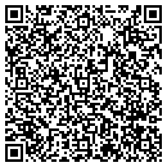 QR-код с контактной информацией организации ПРОФЛАЙН, ИП