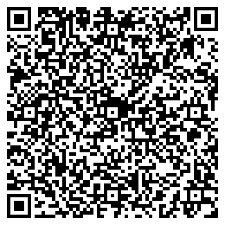 QR-код с контактной информацией организации ДЕТСКИЙ МИР