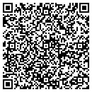 QR-код с контактной информацией организации ШАШКОВ, ЧП