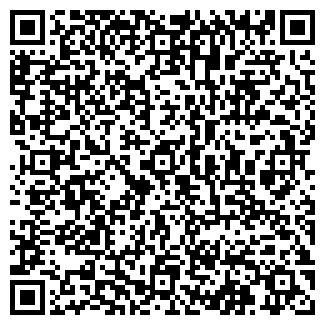 QR-код с контактной информацией организации ВИЗУВИ, ООО