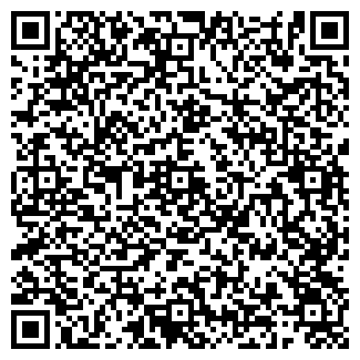 QR-код с контактной информацией организации ЯСЛИ-САД № 163