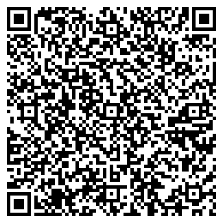 QR-код с контактной информацией организации ЧП БАБАЕВ Р. М.