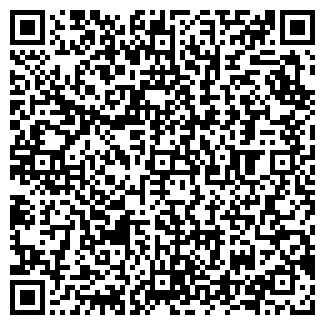 QR-код с контактной информацией организации № 67