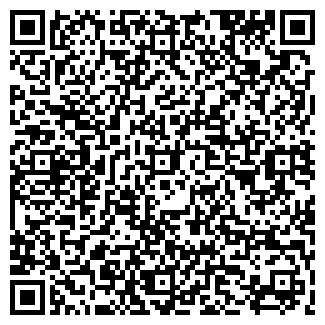 QR-код с контактной информацией организации ФЕНИКС МП
