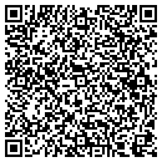 QR-код с контактной информацией организации АЛЁНКА