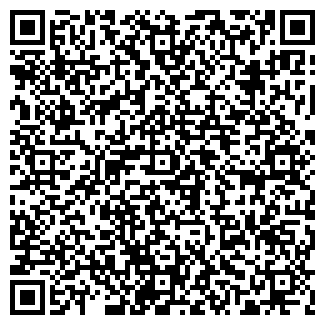 QR-код с контактной информацией организации КОПЕЙКА