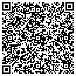 QR-код с контактной информацией организации № 165 ДЕТСКИЙ САД ОБЩЕРАЗВИВАЮЩЕГО ВИДА