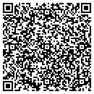 QR-код с контактной информацией организации АЛИСА