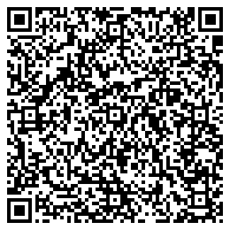 QR-код с контактной информацией организации ШЕВЕЛЕВА Е. Н., ИП