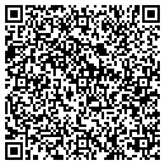 QR-код с контактной информацией организации № 163 АПТЕКА