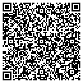 QR-код с контактной информацией организации КОПЕЙКА