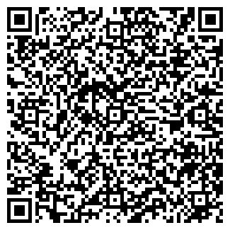 QR-код с контактной информацией организации «Домолинк»