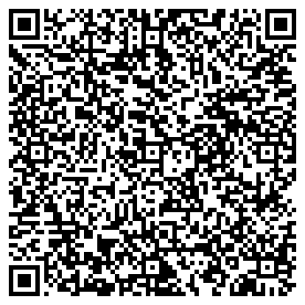 QR-код с контактной информацией организации ДОМ ЭЛЕКТРИКИ