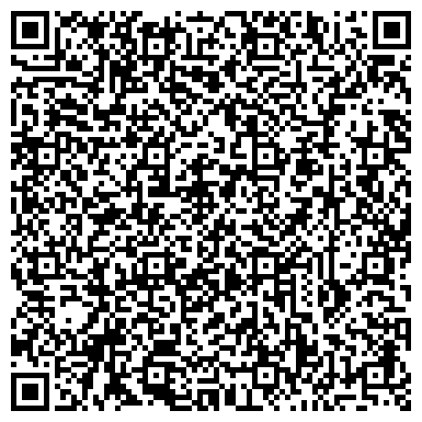 QR-код с контактной информацией организации «Шаховская детская школа искусств»