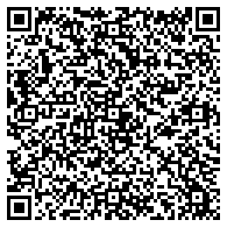 QR-код с контактной информацией организации ШАЛАЕВА Н.Е.