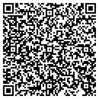 QR-код с контактной информацией организации СВЕТЛАНА