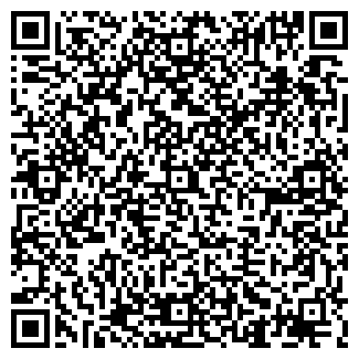 QR-код с контактной информацией организации ЛИСИЧКА