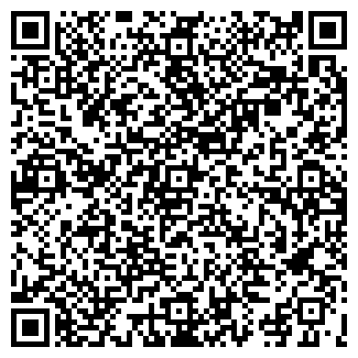 QR-код с контактной информацией организации СИРИУС