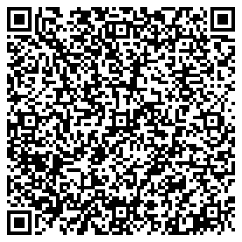 QR-код с контактной информацией организации ИП "Дом.ru"