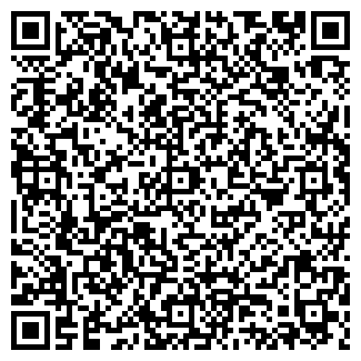 QR-код с контактной информацией организации РУСИЧ ТАГ