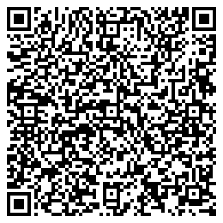 QR-код с контактной информацией организации ЛИСЕР, ООО