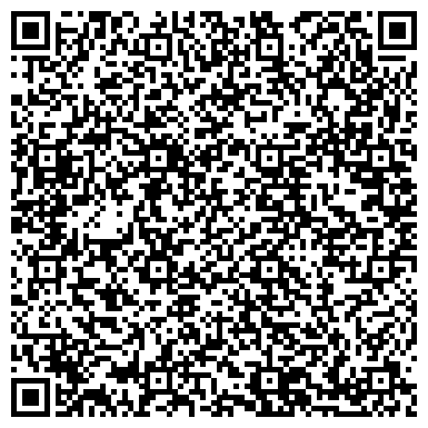 QR-код с контактной информацией организации Детская Школа Искусств имени М.А.Балакирева