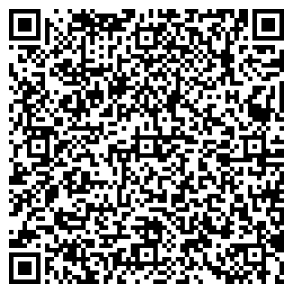 QR-код с контактной информацией организации БИГ-96, ООО