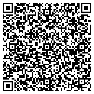 QR-код с контактной информацией организации ООО «Вилес»