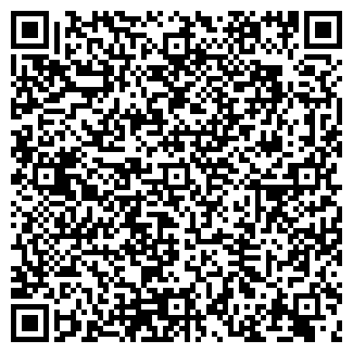 QR-код с контактной информацией организации магазин ЗА РУЛЕМ