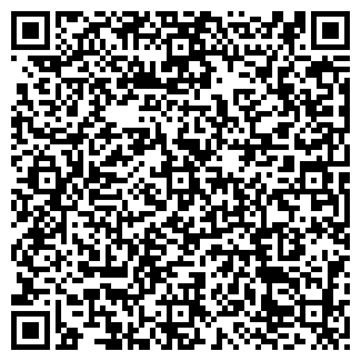 QR-код с контактной информацией организации ДИМАКС