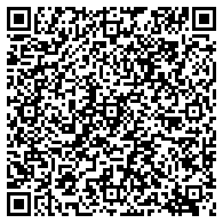 QR-код с контактной информацией организации ТОРБЕЕВО