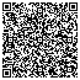 QR-код с контактной информацией организации КСИЛОЛИТ, ОАО