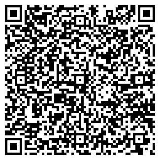 QR-код с контактной информацией организации "Силуэт"
