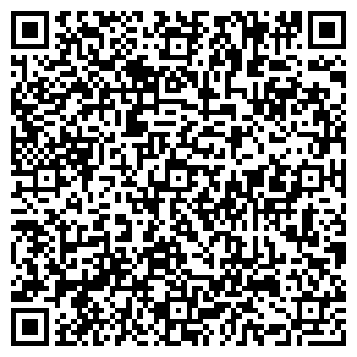 QR-код с контактной информацией организации RITOL.RU