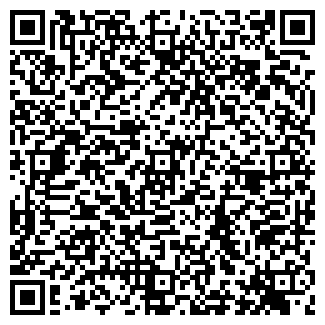 QR-код с контактной информацией организации ДЛЯ ДОМА