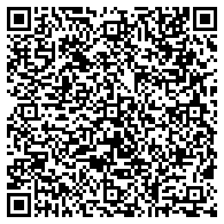 QR-код с контактной информацией организации ВИСМУТ