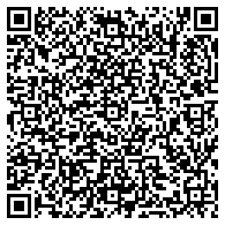 QR-код с контактной информацией организации СФЕРА ЛИЗИНГ