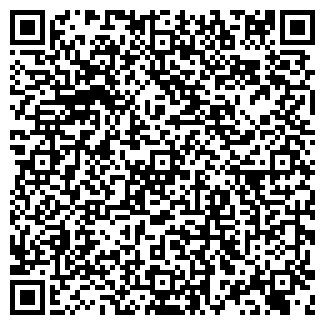 QR-код с контактной информацией организации ДОРОЖНЫЙ