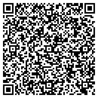 QR-код с контактной информацией организации ШВЕДСКИЙ