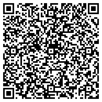 QR-код с контактной информацией организации ШЕВРОЛЕ