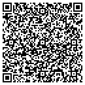 QR-код с контактной информацией организации ДЕТСКИЙ САД № 13