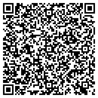 QR-код с контактной информацией организации ДОМАШНИЙ