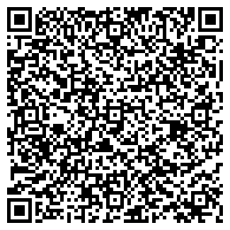 QR-код с контактной информацией организации КОЛИЗЕЙ