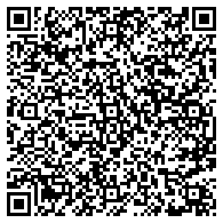 QR-код с контактной информацией организации ДИЛЛ