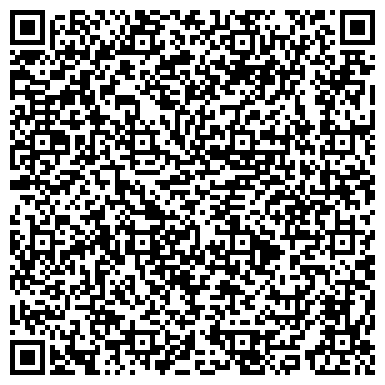 QR-код с контактной информацией организации Камерный оркестр «Солисты Нижнего Новгорода»