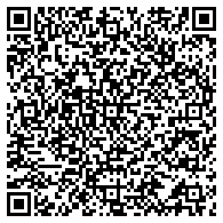 QR-код с контактной информацией организации БАБКИН Н.Н., ИП