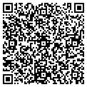 QR-код с контактной информацией организации ЛАДИН В. И.