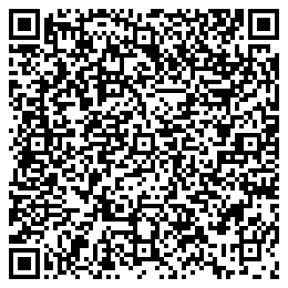QR-код с контактной информацией организации ХОЛЬСТЕР, ООО