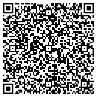 QR-код с контактной информацией организации ПЛАТИНА, ООО