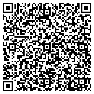 QR-код с контактной информацией организации КОЛИЗЕЙ